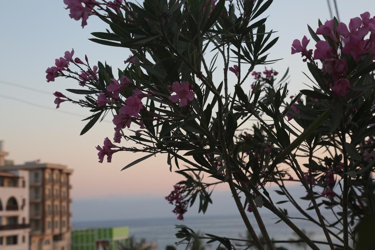 Kasgar Court Hotel Ayvaryara エクステリア 写真